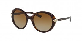 Bvlgari BV8204B 504/T5 54
