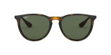 Ray Ban RB4171 710/71 54 عینک آفتابی ریبن 4171 گرد 54 میلی متری عدسی سبز و فریم نایلونی هاوانا| عینک نور