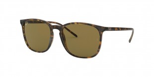 Ray Ban RB4387 710/73 56 عینک آفتابی ریبن 4387 مربعی 56 میلی متری عدسی قهوه ای و فریم نایلونی هاوانا| عینک نور