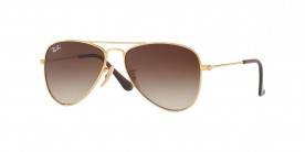 Ray Ban RJ9506S 223/13