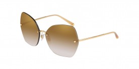 Dolce & Gabbana DG2204 02/6E 64