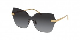 Dolce & Gabbana DG2260 02/8G 46