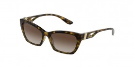 Dolce & Gabbana DG6155 502/13