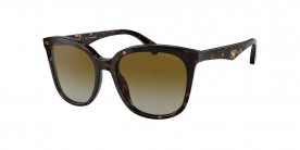 Emporio Armani EA4157 5234T5