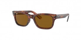 Ray Ban RB2283 954/33