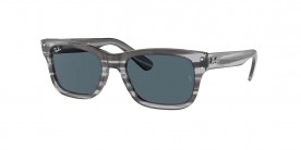 Ray Ban RB2283 1314R5