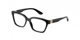 Dolce & Gabbana DG3343 501