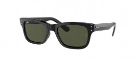 Ray Ban RB2283 901/31