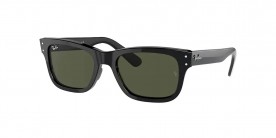 Ray Ban RB2283 901/31