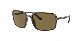 Ray Ban RB4375 710/73