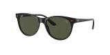 RayBan Sunglass RB2202M F60131 55عینک آفتابی ریبن 2202 پنتوس 55 میلی متری عدسی سبز و فریم نایلونی مشکی| عینک نور