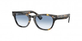 Ray Ban RB2201 13323F