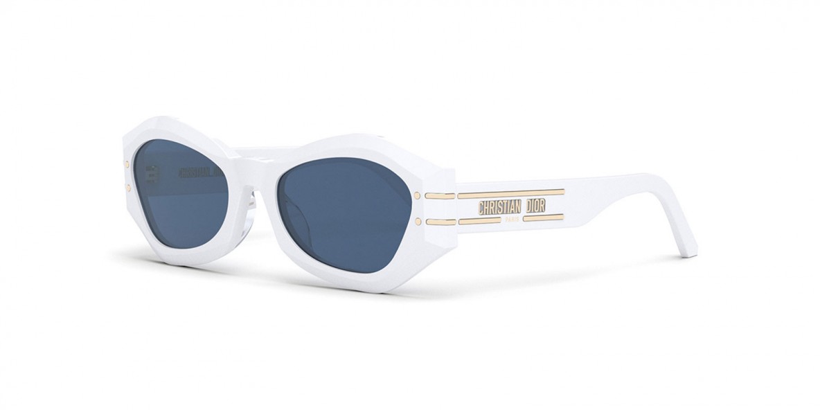 Dior Sunglass DIORSIGNATURE_B1U 50B0 55