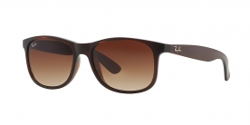 Ray Ban RB4202 607313 55