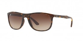 Ray Ban RB4291 710/13 58