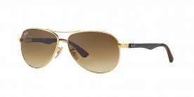 Ray Ban RB8313 001/51