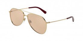 Dolce & Gabbana DG2244 02/02 59