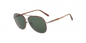 Salvatore Ferragamo SF181S 214 60