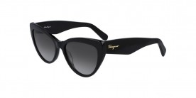 Salvatore Ferragamo SF930S 001 56