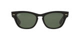 Ray-Ban RB4169 601 عینک آفتابی ریبن