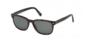 Ermenegildo Zegna EZ0075 52N