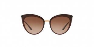 DG Sunglass 6113S 315913 55عینک آفتابی زنانه دی اند جی گربه ای