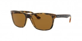 Ray Ban RB4181 710/83 57